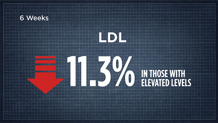 LDL
