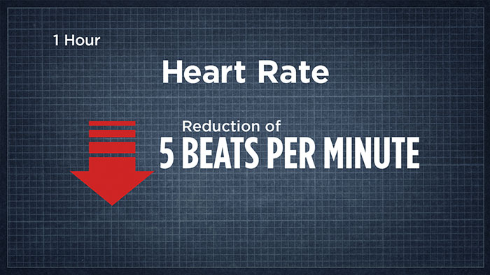 heart rate